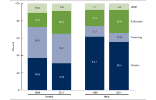 Suicide deaths, by method and sex: United States, 1999 and 2014. (Image: CDC).